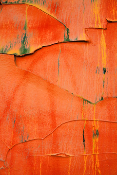 abstract photo